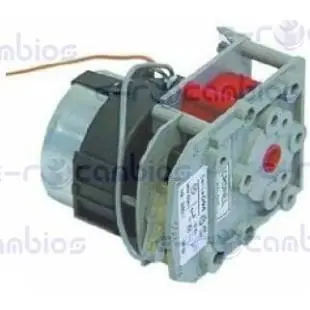MULTIMARCA 17704 Certificado