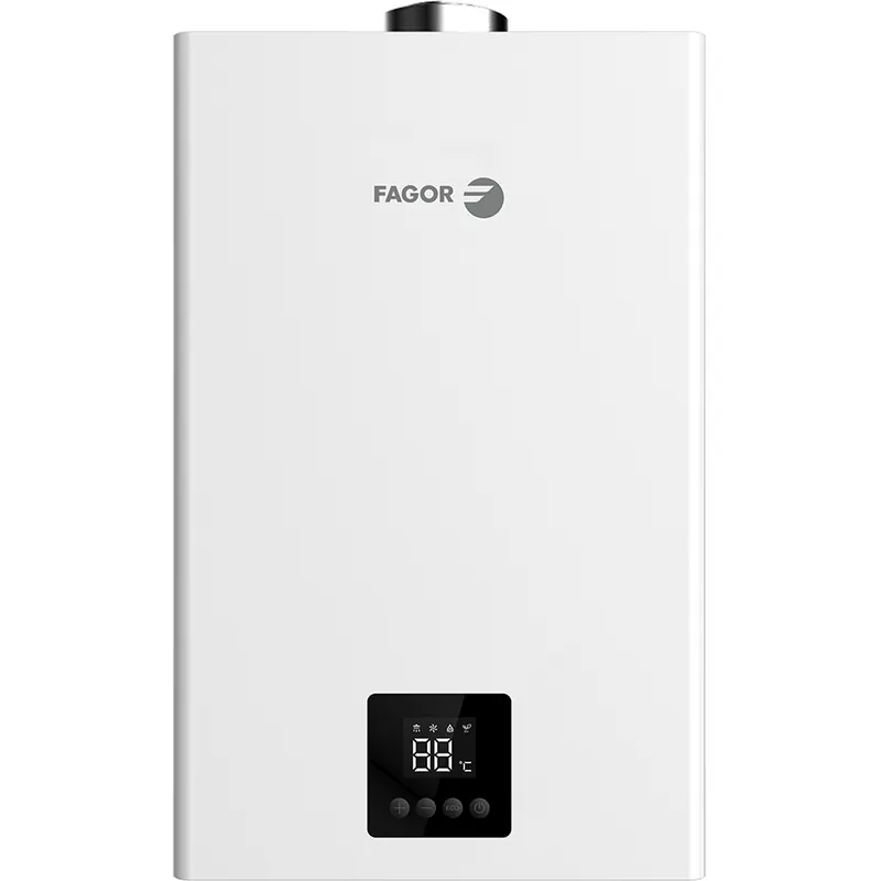 Calentador Fagor FFE-12 NOX GLP Precio Reducido