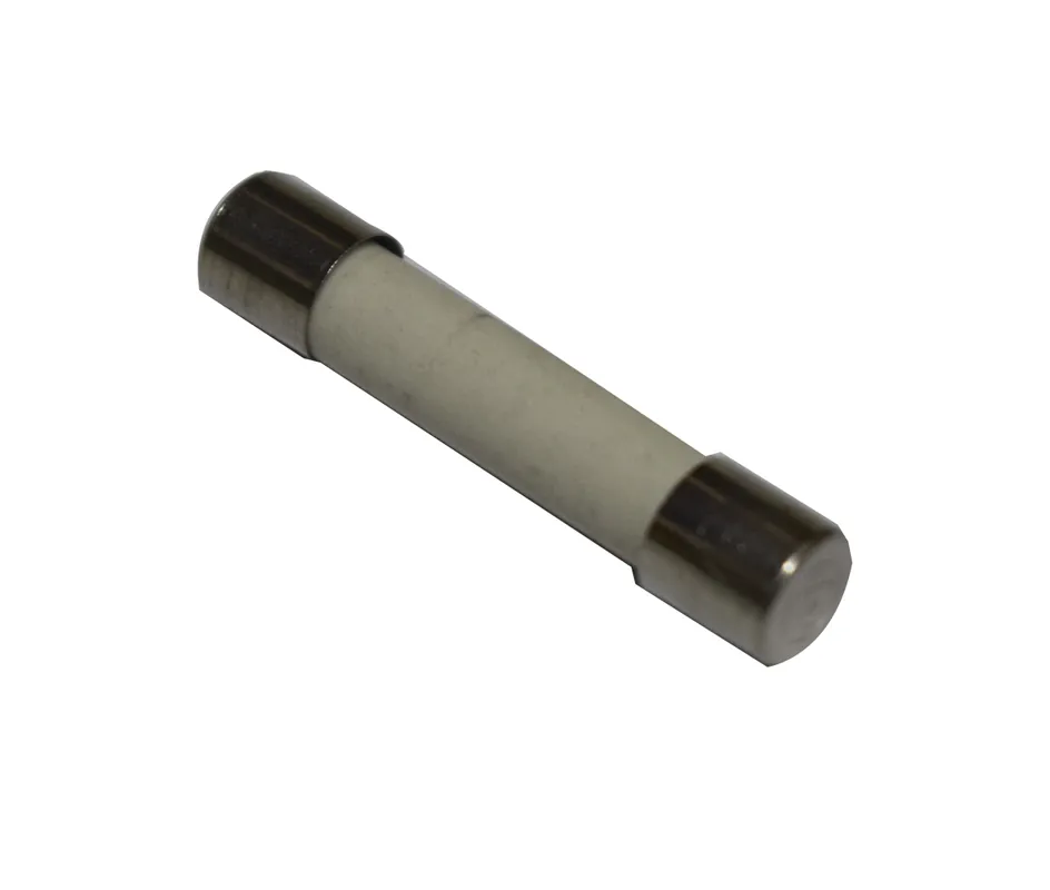 Promoción Fusible para microondas 1,6A 6x32 mm.