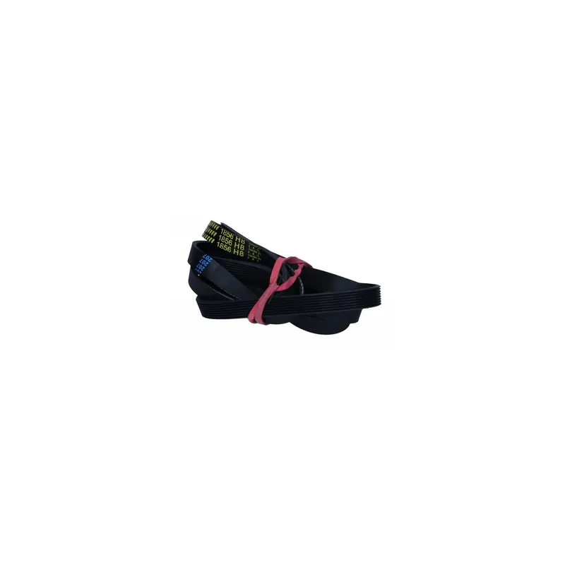 Correa secadora 1856H8 421307851961 Compra Hoy